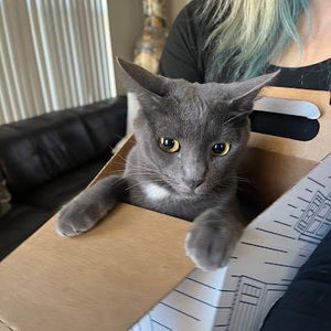 Meet your Posher, Bri